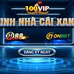 100vipdesign is swapping clothes online from 