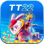 tt22gamecombr is swapping clothes online from 