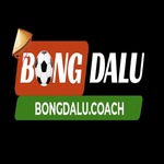 bongdalucoach is swapping clothes online from 