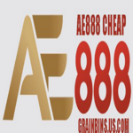 ae888grain is swapping clothes online from 