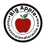 bigapplepestcontrol535 is swapping clothes online from 