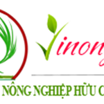 vinongducbinh is swapping clothes online from 