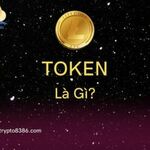 tokenlagi is swapping clothes online from 