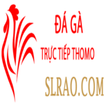 Đá Gà Trực Tiếp Thomo is swapping clothes online from 