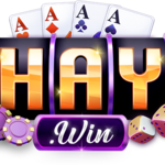 1haywintech is swapping clothes online from 