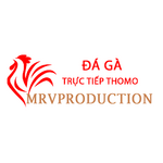 Đá Gà Trực Tiếp Thomo is swapping clothes online from 