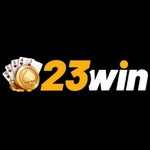 23winsdecom is swapping clothes online from 