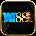 wt88app is swapping clothes online from 