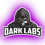 darklabs is swapping clothes online from 