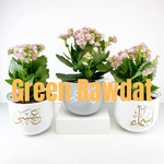 Green Rawdat is swapping clothes online from Doha, Ad Dawhah