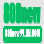 888new99 is swapping clothes online from 