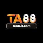 TA88 ITCOM is swapping clothes online from 