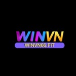 winvn66fit is swapping clothes online from 