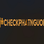 appphatnguoicom is swapping clothes online from 