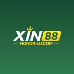 xin88honor is swapping clothes online from 