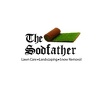thesodfather is swapping clothes online from 