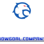 nowgoalcompany is swapping clothes online from 