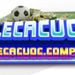 tylecacuoc is swapping clothes online from 