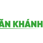 vankhanhtvbiz is swapping clothes online from 