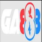 ga888olo is swapping clothes online from 