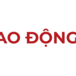 baohobacninh is swapping clothes online from 