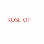 roseop726 is swapping clothes online from 