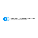 efficient is swapping clothes online from 