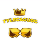 tylecacuoclh is swapping clothes online from 