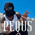 pequs is swapping clothes online from 