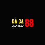 daga88so is swapping clothes online from 