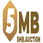 5mbauction is swapping clothes online from 