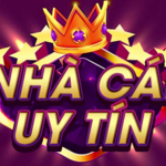 nhacaiuytinda is swapping clothes online from 