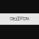 wallowsshop is swapping clothes online from 