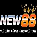 New88aeorg is swapping clothes online from 