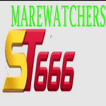 st666mare is swapping clothes online from 