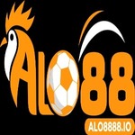 alo8888io is swapping clothes online from 