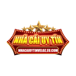 nhacaiuytinvelozeu is swapping clothes online from 