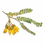 Naturescapes Ltd		 is swapping clothes online from 
