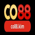 co88kim is swapping clothes online from 
