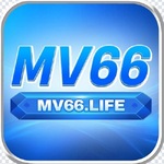 mv66life is swapping clothes online from 