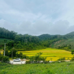 pandadayc is swapping clothes online from 