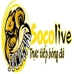 Socolive video is swapping clothes online from 