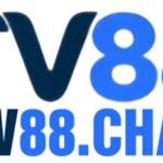 tv88chat is swapping clothes online from 