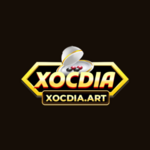 ncxocdiaonline is swapping clothes online from 