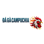 ĐÁ GÀ CAMPUCHIA | TRỰC TIẾP CPC1, CPC2, CPC3 THOMO is swapping clothes online from 