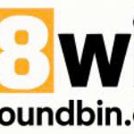 thefoundbincom is swapping clothes online from 