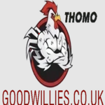 goodwilliescouk is swapping clothes online from 