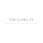 viecaorgvn is swapping clothes online from 