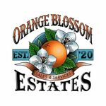 orangeblossomestates is swapping clothes online from 