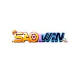saowin is swapping clothes online from 